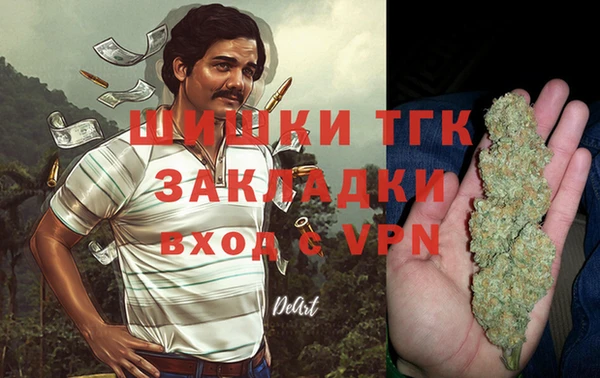 PSILOCYBIN Алзамай
