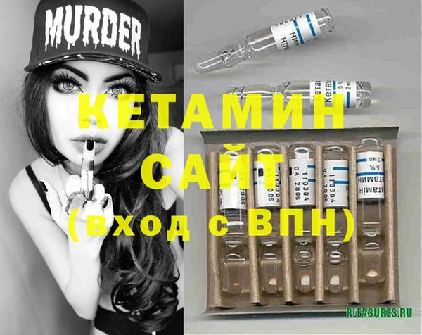 PSILOCYBIN Алзамай