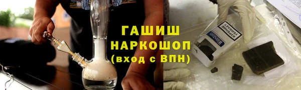 PSILOCYBIN Алзамай