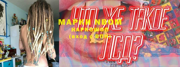 PSILOCYBIN Алзамай