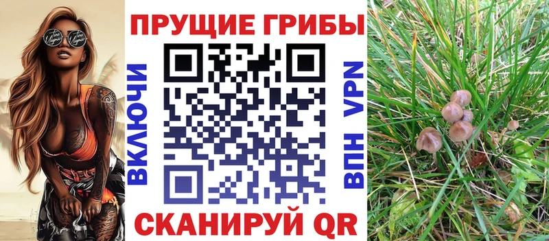 Галлюциногенные грибы мицелий  Игра 